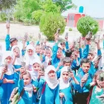 Green Seekers Activity